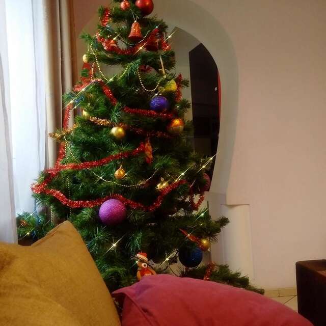 Хостелы Lviv Euro hostel Львов-34